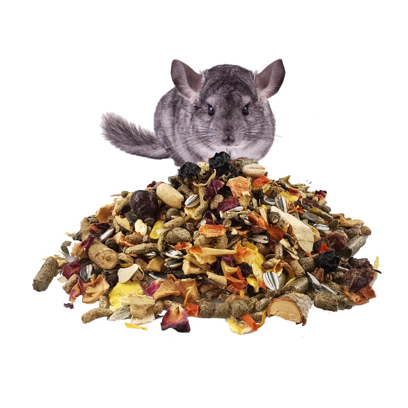 premium szynszylaa.jpg